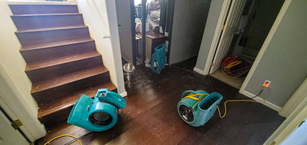 Best Residential water damage restoration  in Wchester, IN