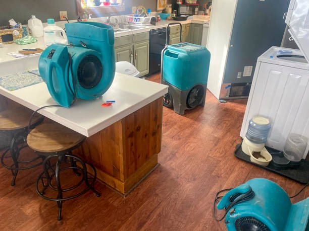 Professional Water damage restoration in Winchester, IN