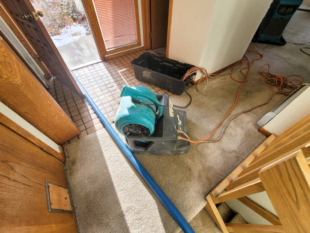 Best Sewage cleanup and water damage restoration  in Wchester, IN