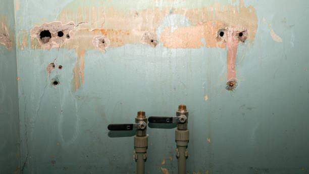 Best Professional water damage repair  in Wchester, IN