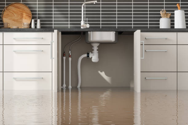 Best Water damage contractors near me  in Wchester, IN