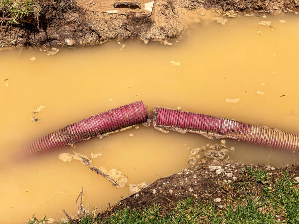 Best Carpet water damage restoration  in Wchester, IN