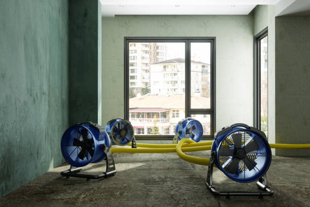  Wchester, IN Water damage restoration Pros