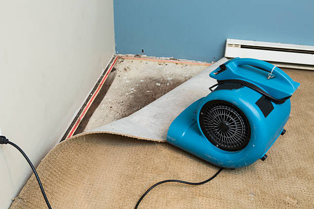 Best Fire Damage Restoration  in Wchester, IN